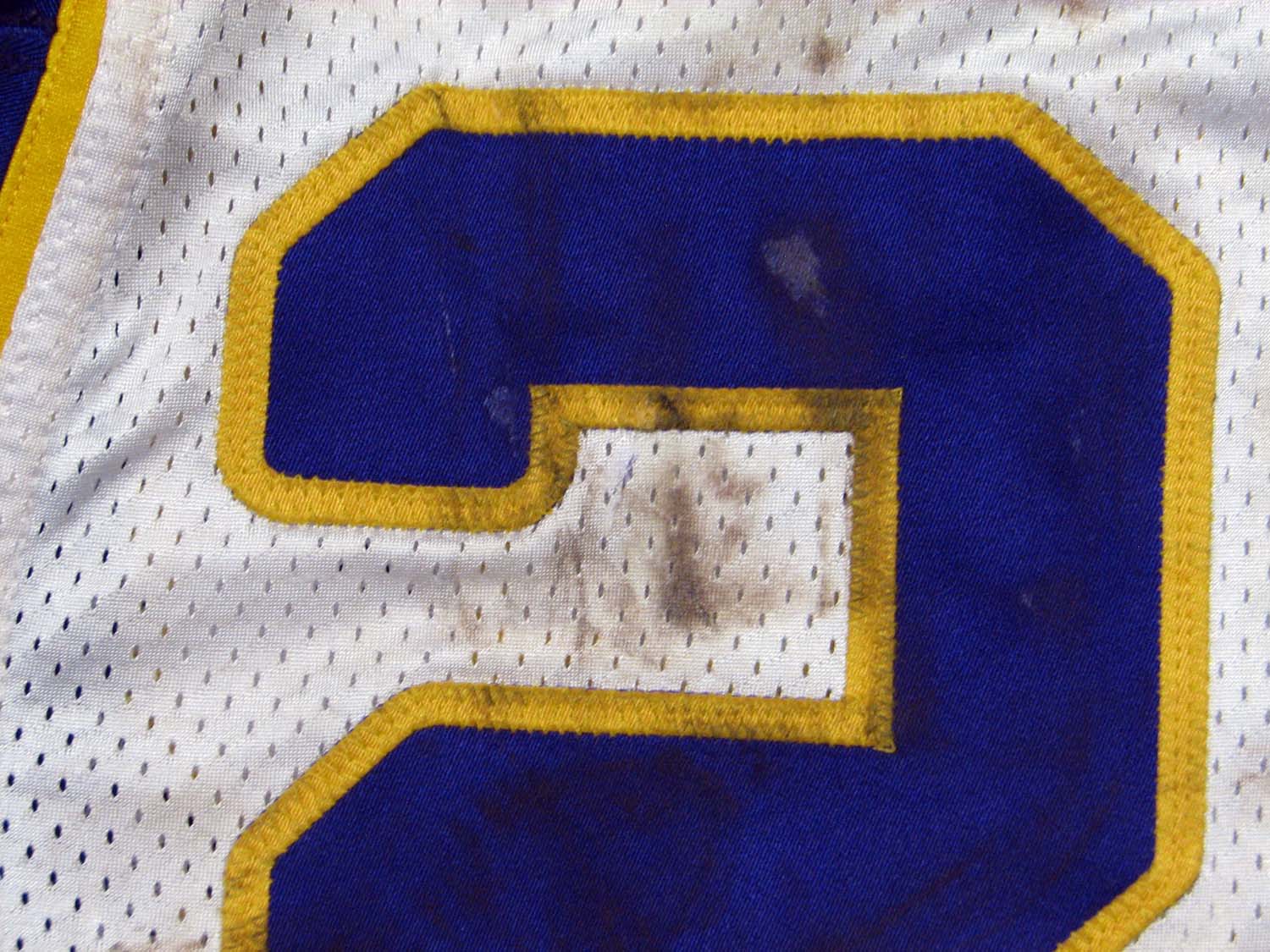 Lot Detail - Adrian Peterson 9/14/2015 Minnesota Vikings Game Used Jersey -  Rushing Title Season, Photo Matched (RGU LOA)