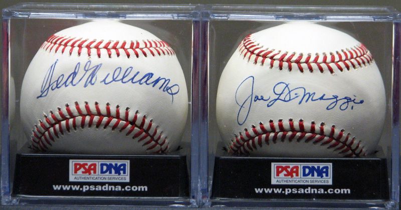 Ted Williams Signed OAL Baseball (PSA)