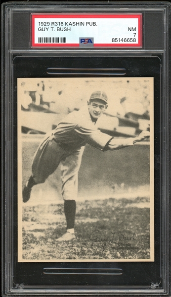 1929 R316 Kashin Publications Guy T. Bush PSA 7 NM