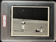 1951 Mickey Mantle & Joe DiMaggio Catching World Series Game 2 Type I Photograph Featuring Mantles Injury PSA Authenticated