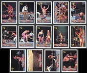 1990 Wrestlemania Lot Of (14)